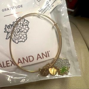 Gratitude Alex and Ani Bracelet - woman